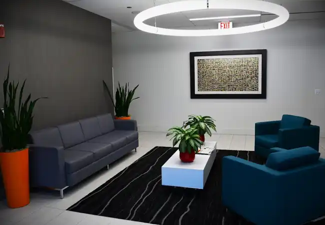 Zayed Law Office