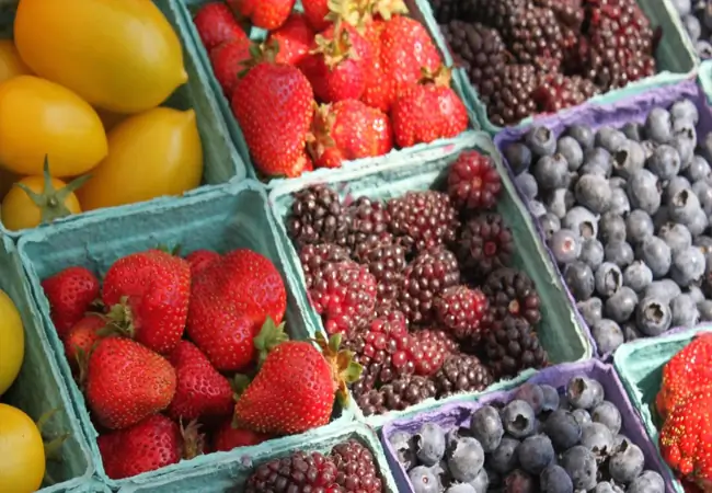 Motherland Halal Market