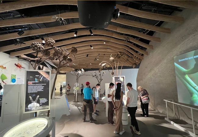 American Museum of Natural History