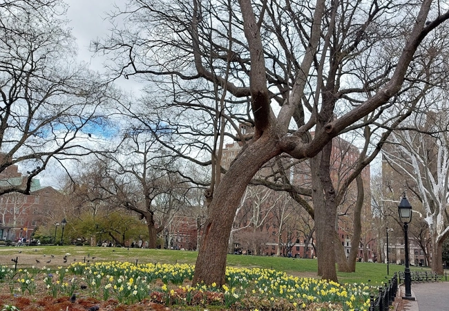 Washington Square Arch