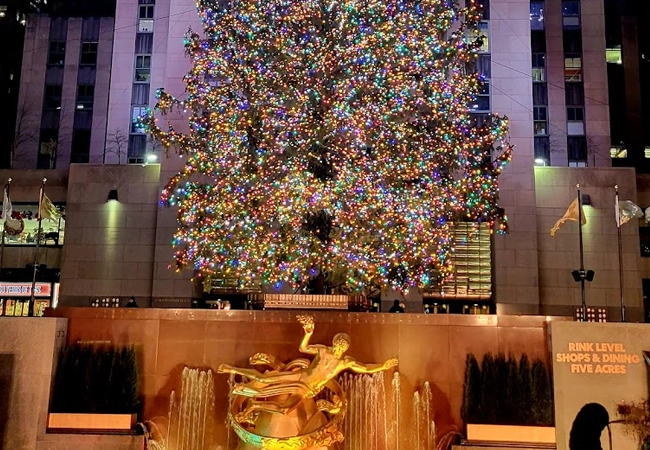 CitySights NY